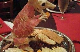 50 Of The Absolute Worst But Funny Pictures You Will See Today