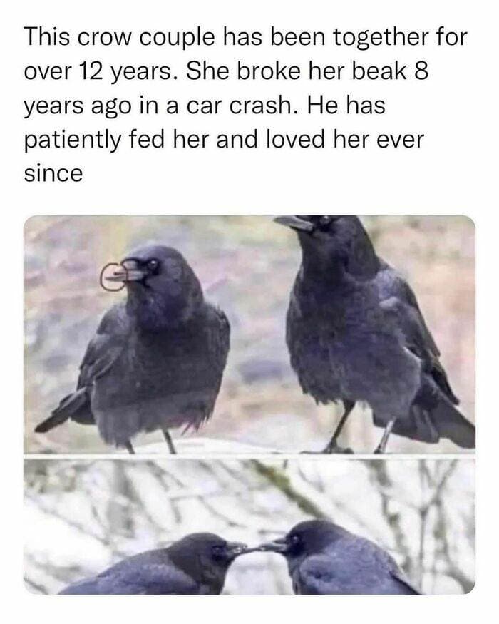 30 Wholesome Pics And Memes To Heal Your Soul