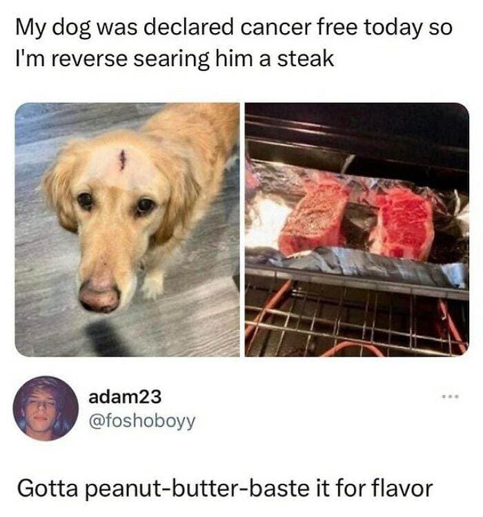 30 Wholesome Pics And Memes To Heal Your Soul