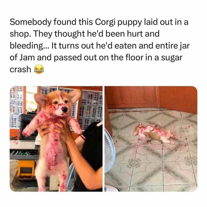 30 Wholesome Pics And Memes To Heal Your Soul