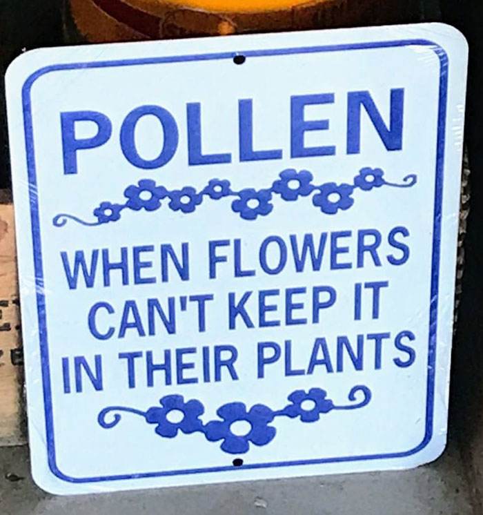 Funny English Language Police Pics 328 6448Bb2160716 700