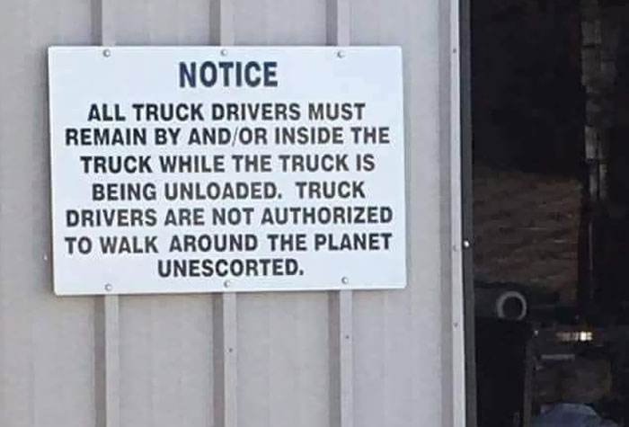 Funny English Language Police Pics 81 642E741219B4C 700