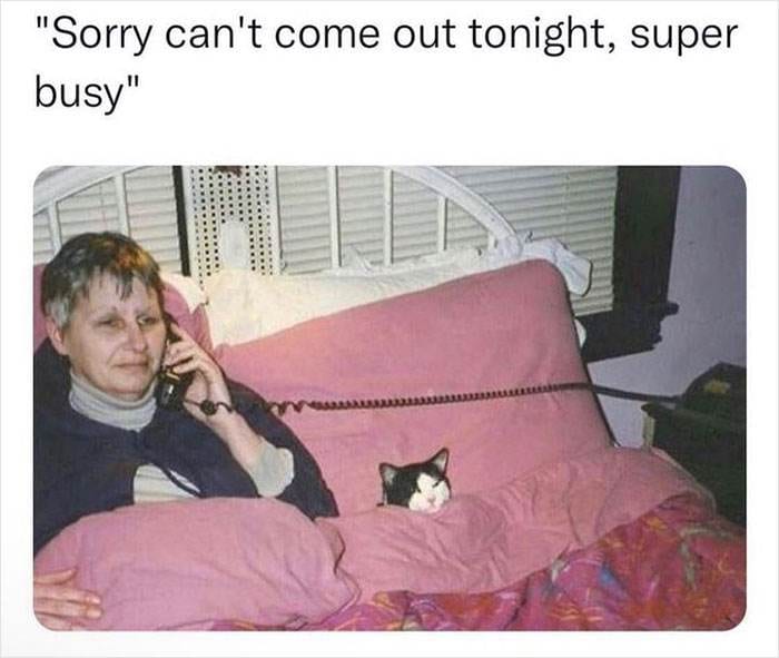 Nugget Memes Instagram 64491B8685F11 700