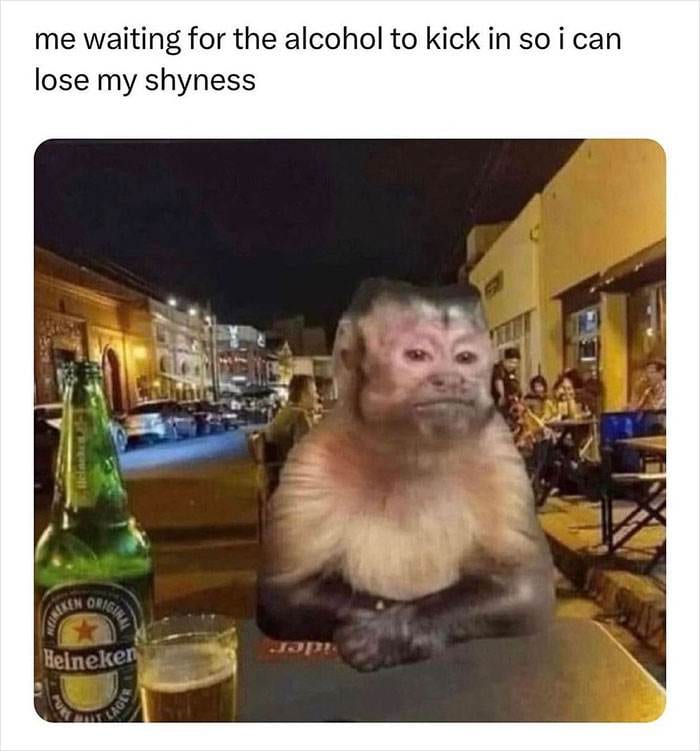 Nugget Memes Instagram 64492Fb723A97 700