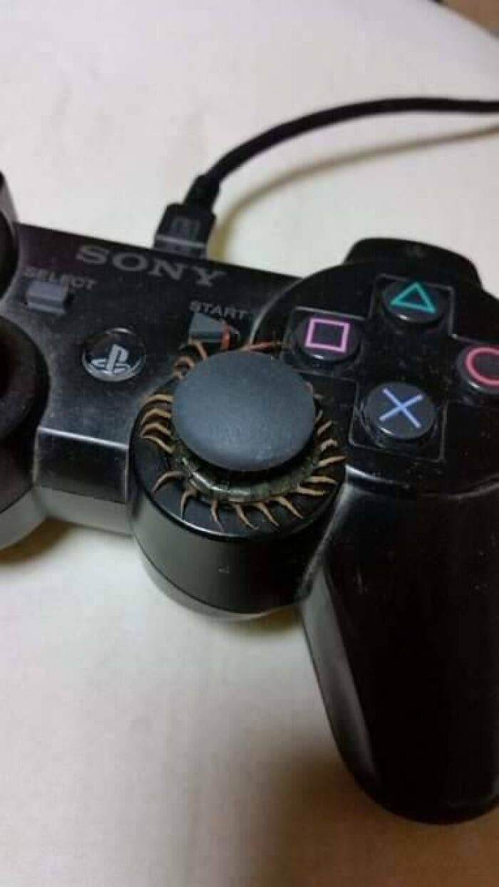 Weird Cursed Images 25 6458C3Cc3F075 700
