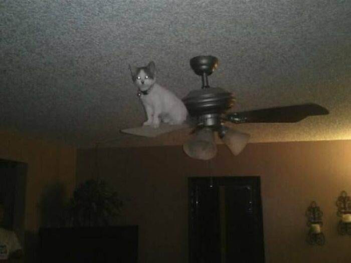 Weird Cursed Images 49 6458C3F59Ca89 700