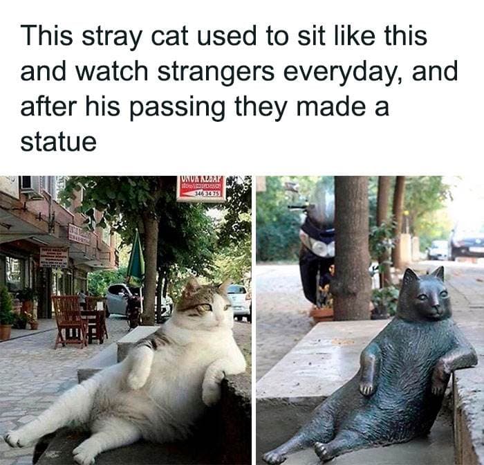 Wholesome Memes Hurtingsouls 40 645Ba65Eeb630 700