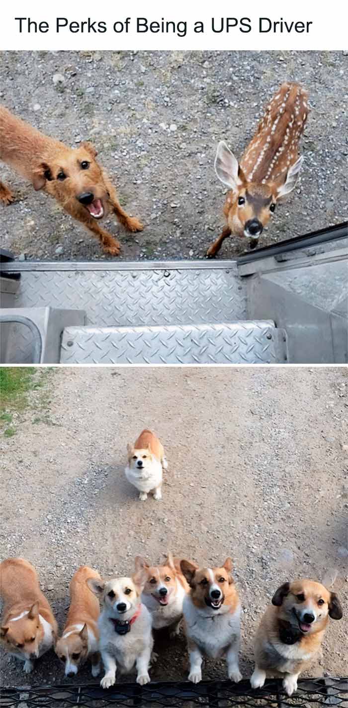 30 Wholesome Pics And Memes To Heal Your Soul