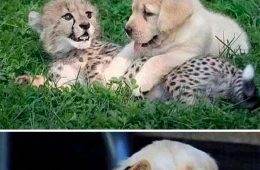 Wholesome Memes Hurtingsouls 91 645B9B558Efd0 700