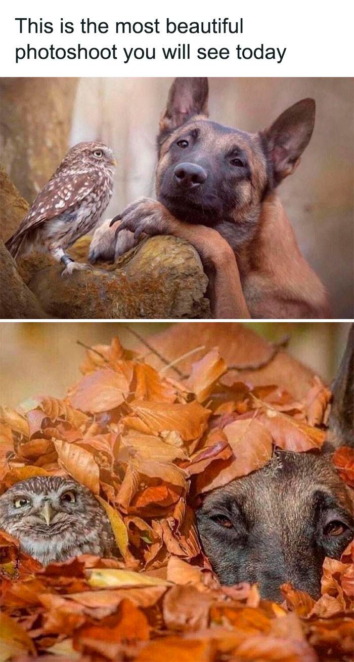 Wholesome Memes Hurtingsouls 98 645B9E36C2132 700