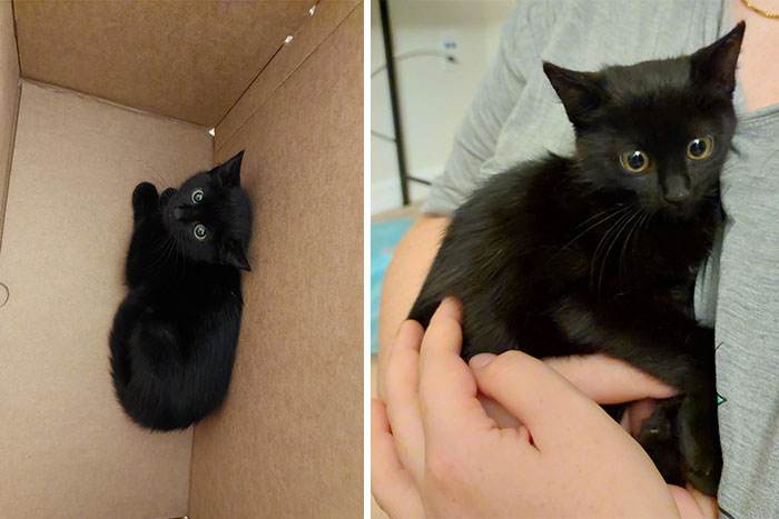 30 Of The Most Heartwarming Pics Of Happily Adopted Pets