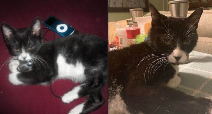 30 Hilarious Times People Attempted To Recreate Their Photos