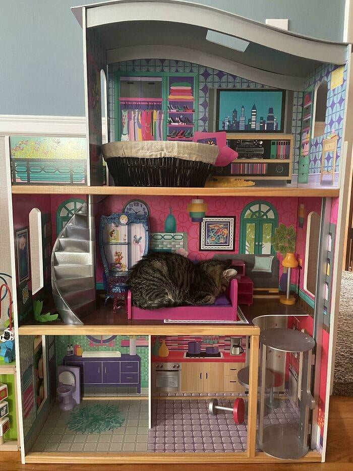 30 Adorable Tiny Beds, Sofas, And More Furniture Made Just For Cats 