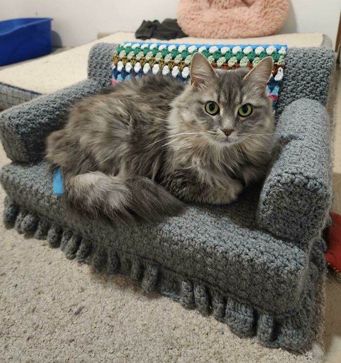 30 Adorable Tiny Beds, Sofas, And More Furniture Made Just For Cats 