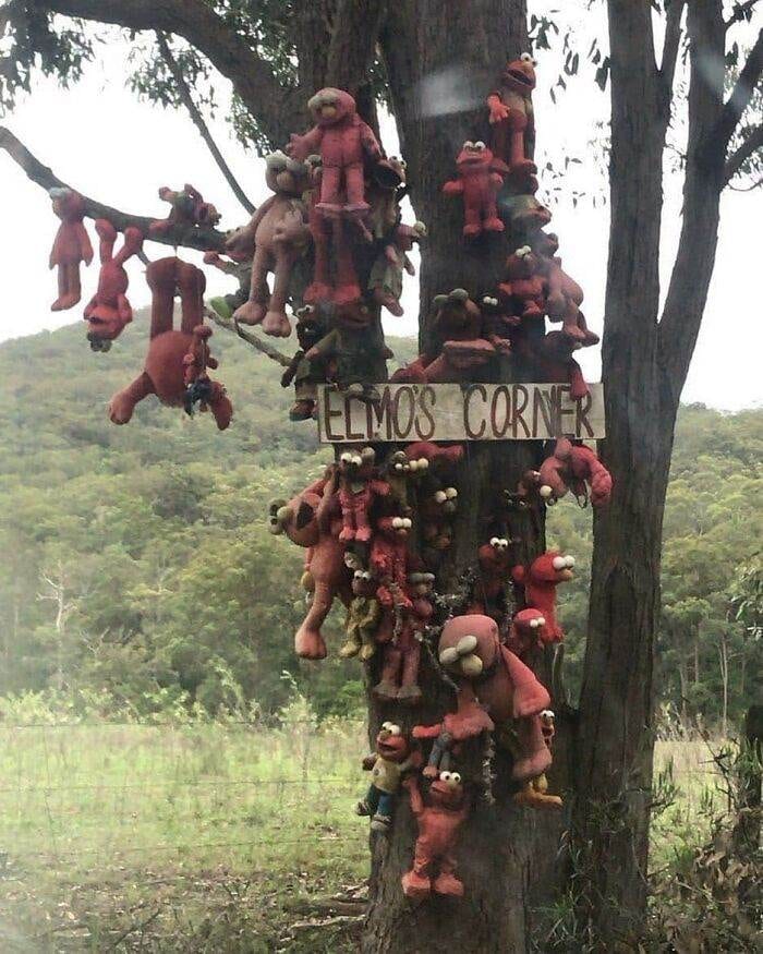 30 Cursed Images To Provide You Your Daily Dose Of Disturbing