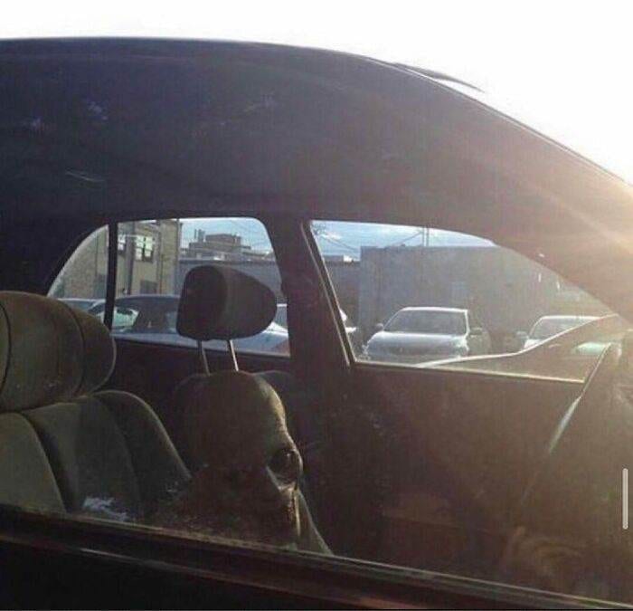 30 Cursed Images To Provide You Your Daily Dose Of Disturbing