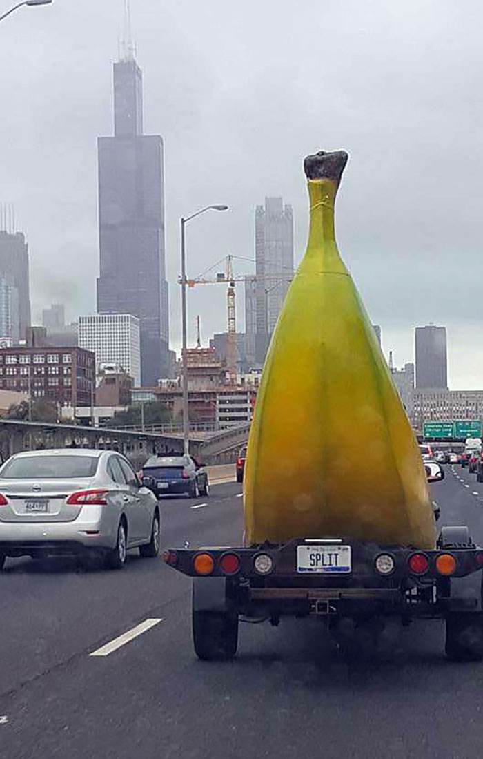 Funny Weird Things On The Road 220 64674Bbe05B71 700