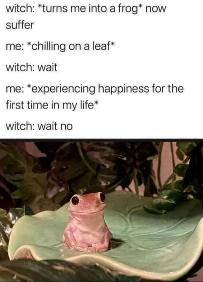 30 Wholesome Memes To Remind Us The World Isn’t All Bad