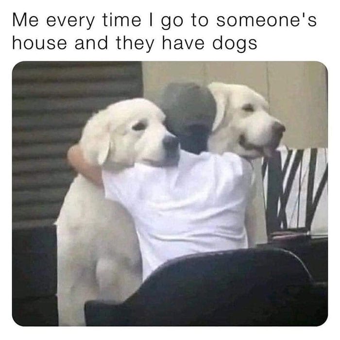 344236367 211946224908663 8676197013343126835 N 649Ab10C8Acb9 700