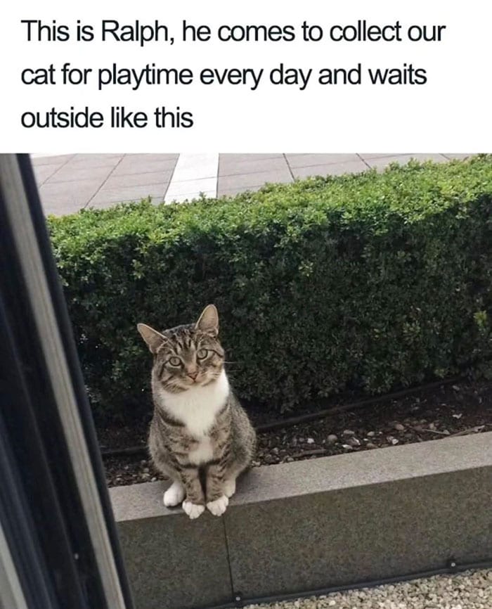 30 Wholesome Memes To Remind Us The World Isn’t All Bad