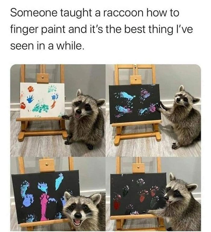 353055922 1118759165746976 7688426340182584343 N 649Aa5Fa93C51 700