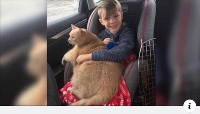 30 Heartwarming Moments Of Kids Caught Doing Sweet Things