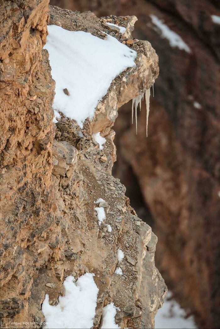 30 Hilarious Photos With Unexpected Details That Will Make You Laugh