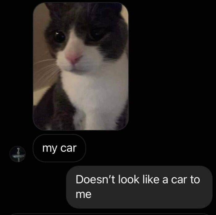 30 Iconic And Funny Messages To Ever Be Screenshotted 