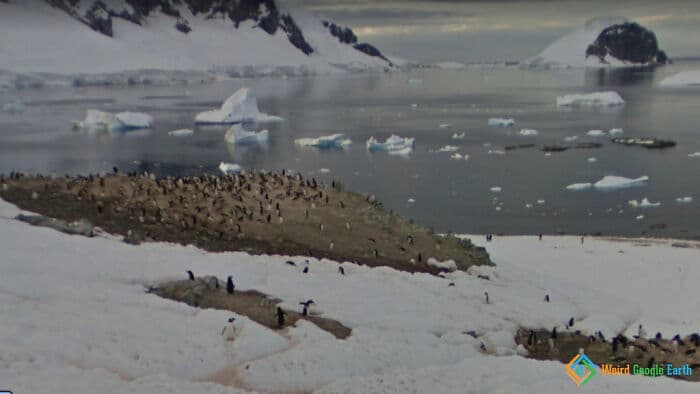 30 Hilarious And Absurd Moments Caught By Google Maps