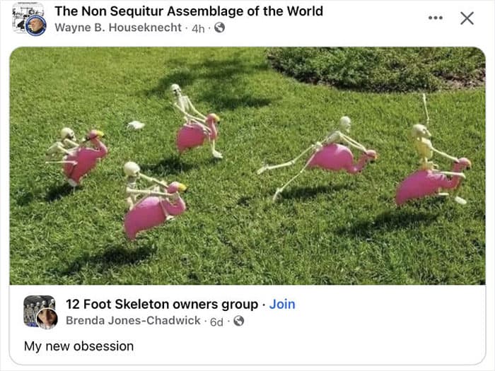 Ridiculous Weird Things 11 64Aeb4Dd98A36 700