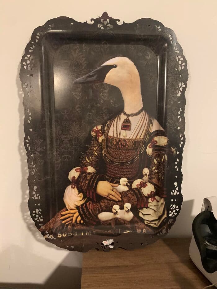 Ridiculous Weird Things 64Ae67B4Ad2E2 700