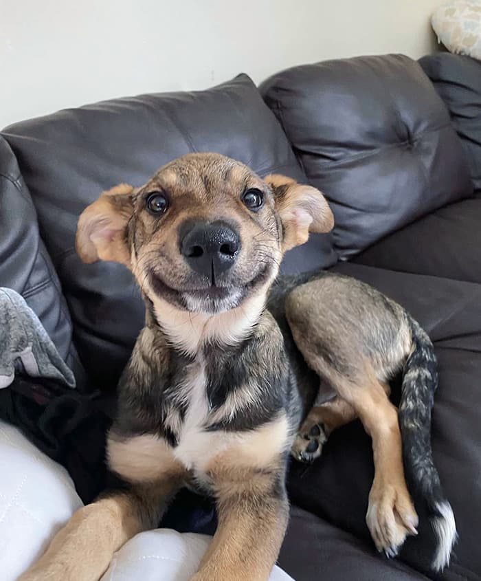 30 Uplifting Photos That Prove We Don’t Deserve Animals