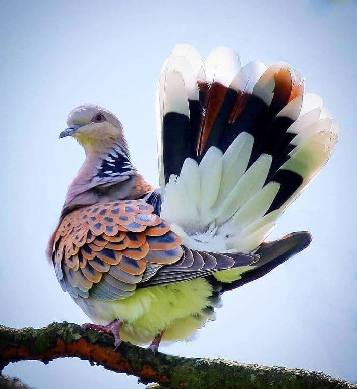 30 Amazing Times People Were Surprised By Nature