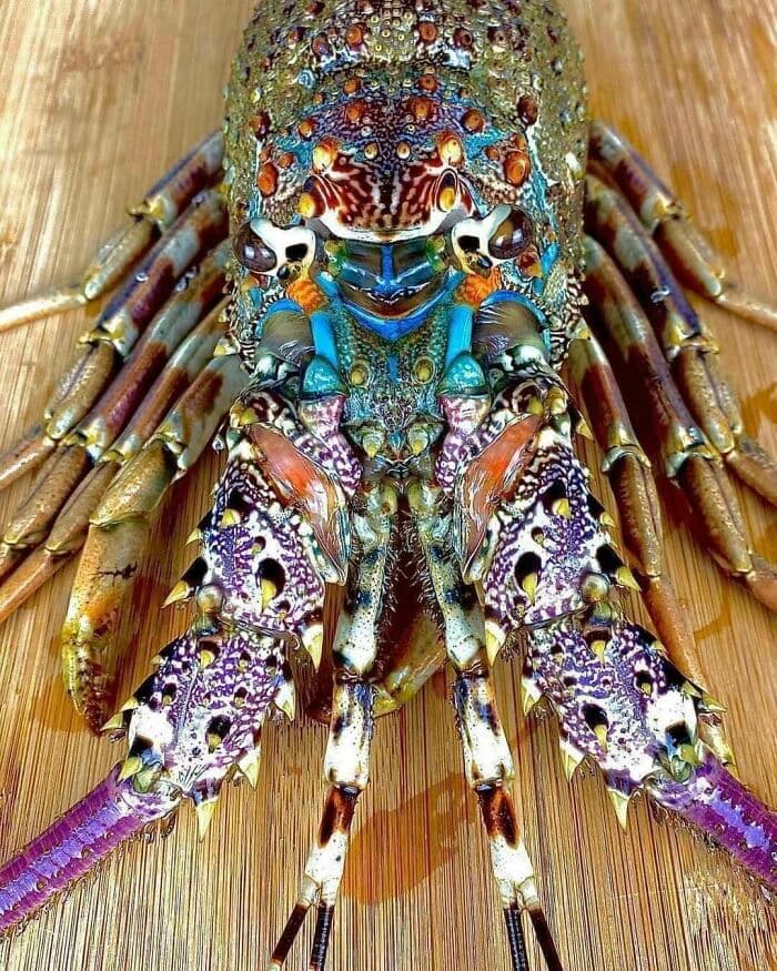 30 Amazing Times People Were Surprised By Nature