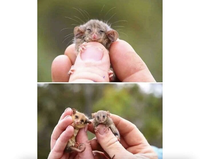 30 Amazing Times People Were Surprised By Nature