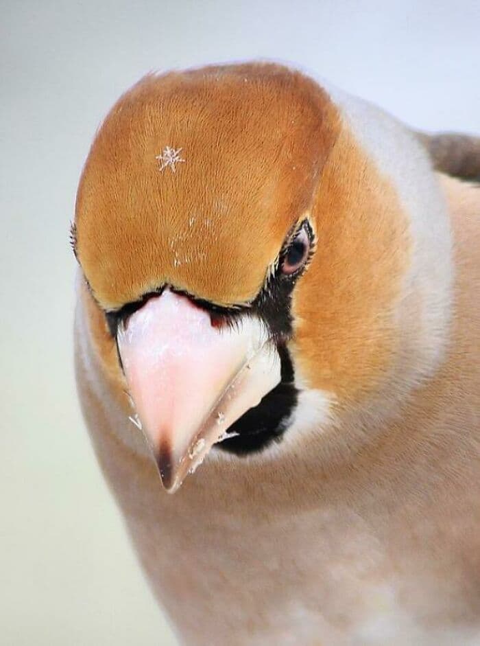 30 Amazing Times People Were Surprised By Nature