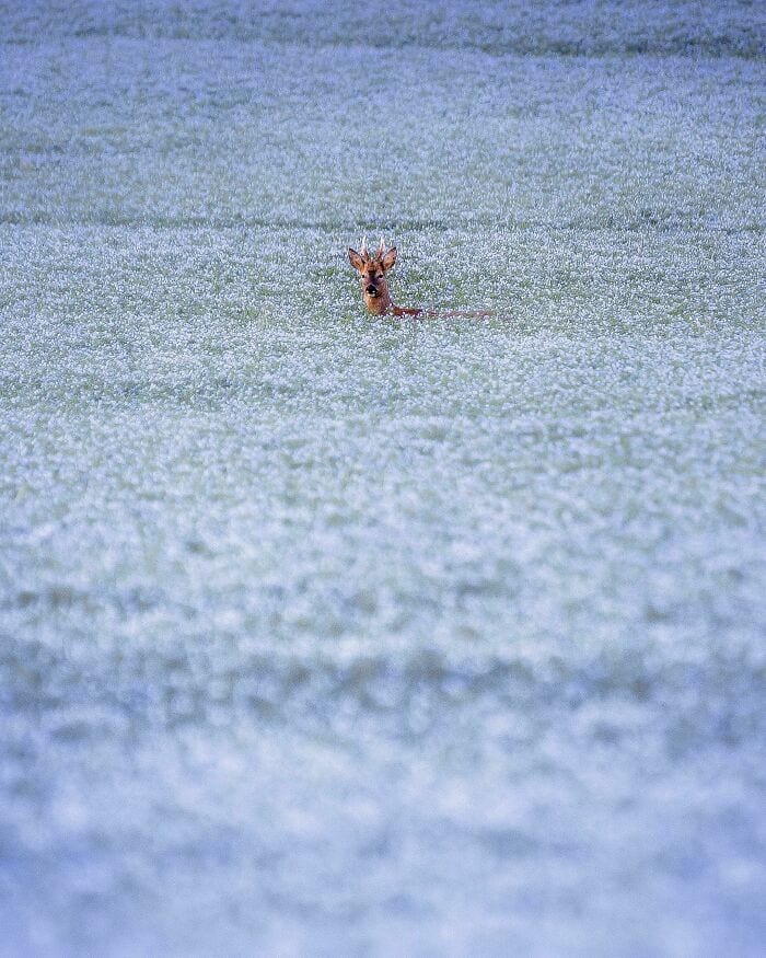 30 Incredible Moments Captured In Stunning Photos