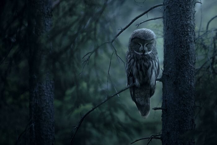 30 Incredible Moments Captured In Stunning Photos