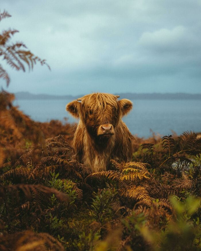 30 Incredible Moments Captured In Stunning Photos