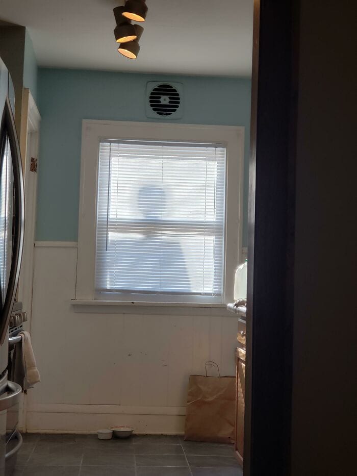 30 Epic Initially Scary Images With Unexpected Stories