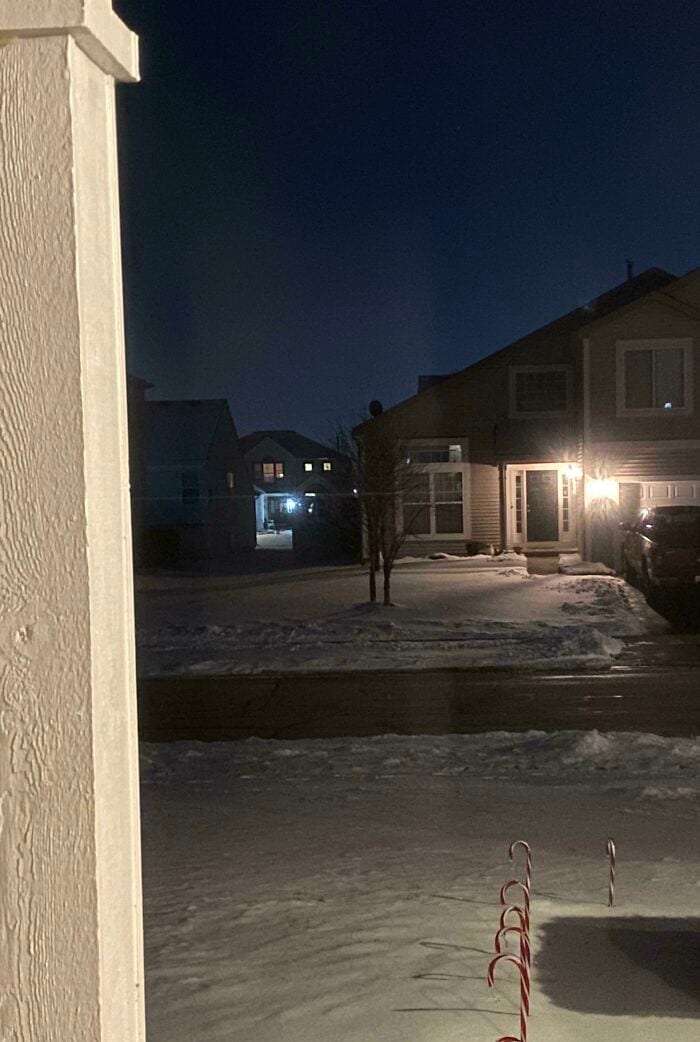 30 Epic Initially Scary Images With Unexpected Stories