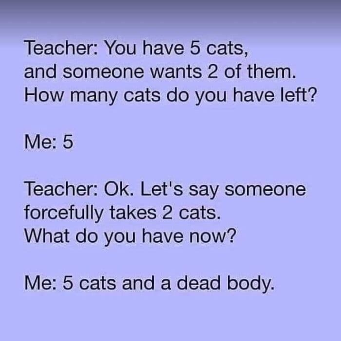 Funny Kitty Litterposting Pictures 64A3D833B52E6 700