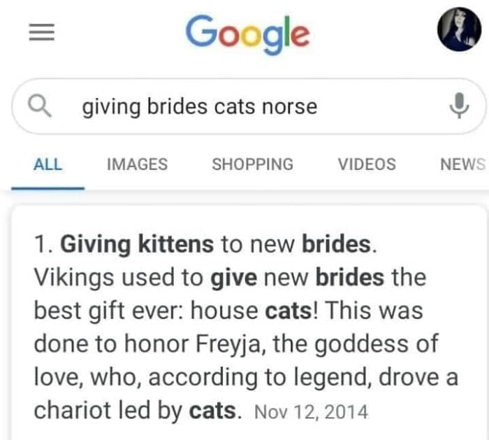 Funny Kitty Litterposting Pictures 64A3Dae0C7B1F 700