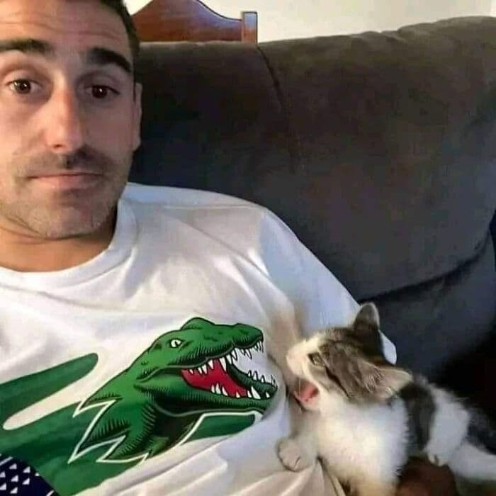 Funny Kitty Litterposting Pictures 64A3Db761C1D0 700