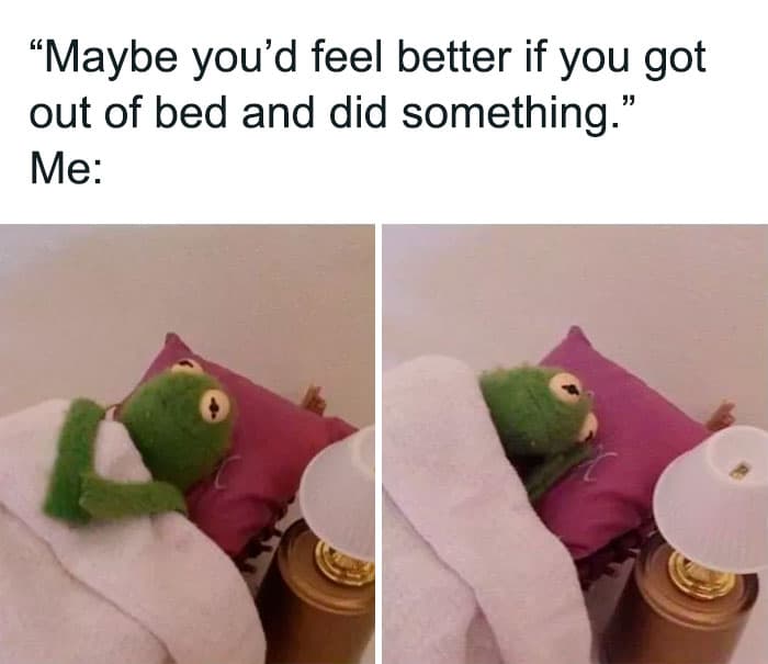 30 Kermit The Frog Memes That Might Make Your Day