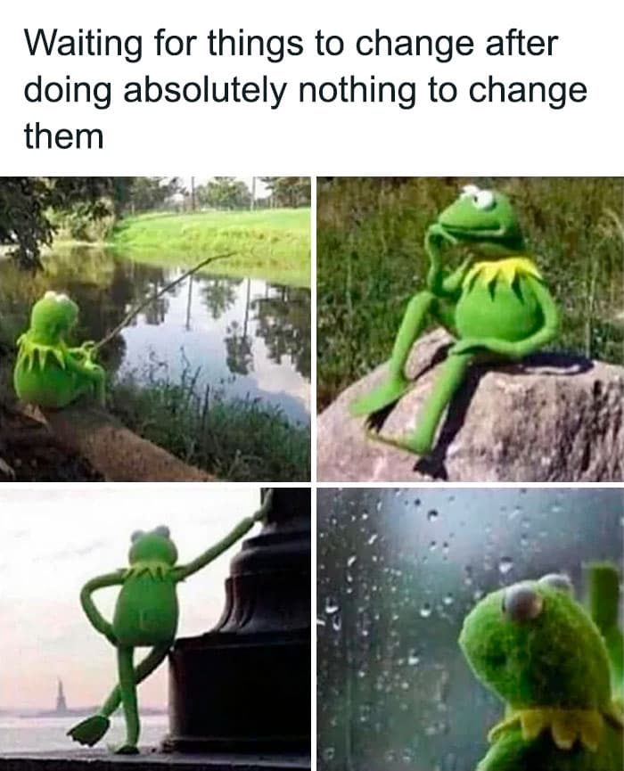Kermit The Frog Memes 44 649D3E12B801E 700