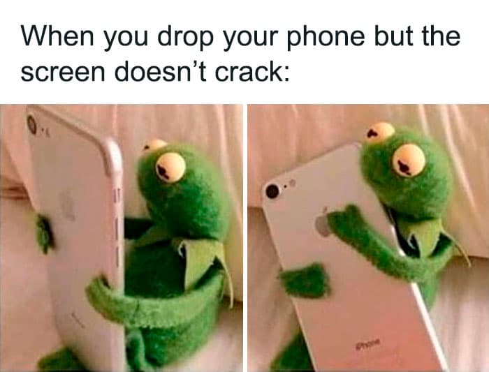 Kermit The Frog Memes 7 649C14F7A4D8F 700