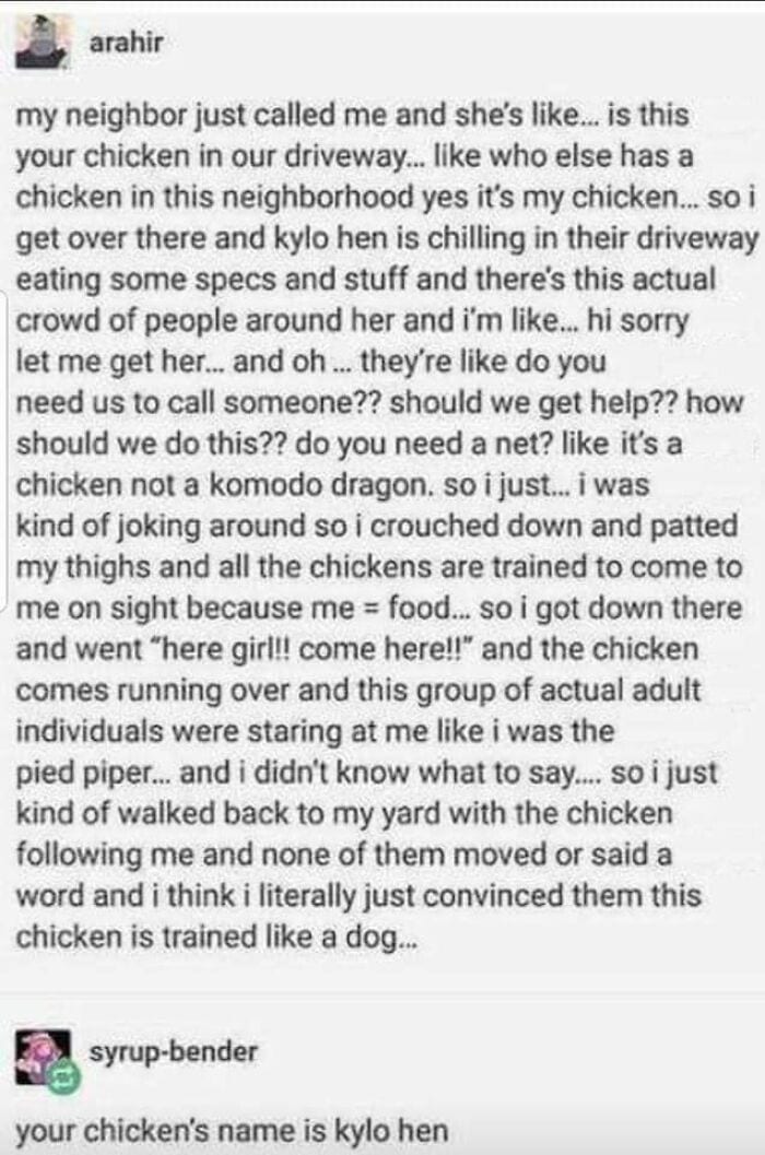 Very Clean Funny Pics Memes 64Ccbdd671D16 700