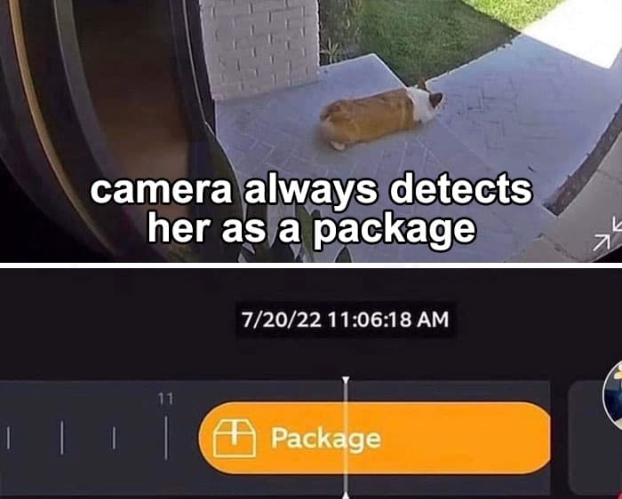 17 64F737A983D65 700