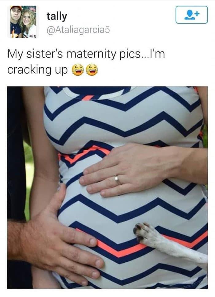 30 Memes That Dog Owners May Find Humorously Relatable